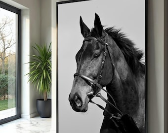 May include: Black and white framed print of a horse's head. The horse is wearing a bridle and the image is set against a light background. The horse's dark coat contrasts with the light background.