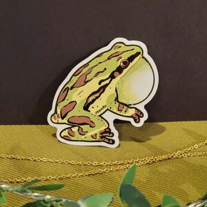 May include: A sticker featuring a cartoon frog in shades of green and brown, with a large, light-yellow vocal sac. The frog is in a side profile, with the artist's name, @taselty, in the lower left corner. The sticker is on a green surface.