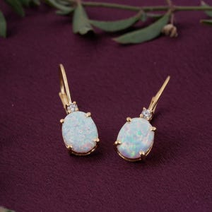 May include: A pair of gold-colored leverback earrings. Each earring features an oval, iridescent opal stone and a small, clear gemstone at the top. The earrings are set against a dark purple background with green foliage.