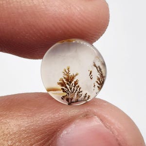 Könnte beinhalten: Ein kleiner, runder, durchscheinender Cabochon-Edelstein mit komplexen, dunkelbraunen, farnartigen dendritischen Einschlüssen, die wie Miniaturbäume oder verzweigte Muster vor einem klaren, cremeweißen und milchigen Hintergrund aussehen.