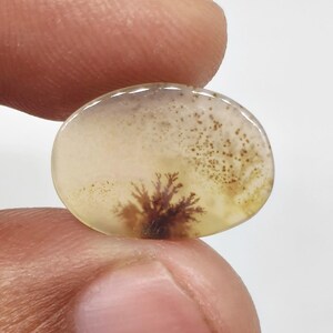 May include: An oval-shaped dendritic agate gemstone with a translucent, milky white base and distinct, dark brown, tree-like fern inclusions spreading across the surface. The stone features a smooth, polished cabochon cut with a rounded top.