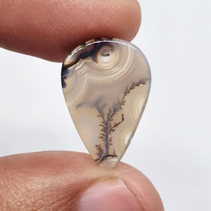 May include: A teardrop-shaped dendritic agate gemstone featuring a translucent, milky beige base with concentric circular banding and dark, fern-like manganese oxide inclusions that branch out across the polished, smooth surface of the stone.