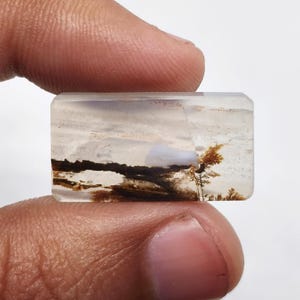 Könnte beinhalten: Ein rechteckiger, durchscheinender Edelstein-Cabochon mit internen dendritischen Einschlüssen, die an dunkelbraune, baumartige Muster vor einem milchig-weißen Hintergrund erinnern, mit einer glatten, polierten Oberfläche.