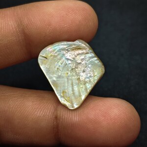 May include: A small, iridescent seashell with a pearlescent sheen. The shell has a rough, textured surface and displays a range of colors, including white, gold, and hints of blue and green. The shell is held between two fingers against a dark background.