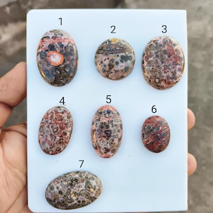 Op de afbeelding: Zeven gepolijste leopard skin jasper cabochons in verschillende vormen. De edelstenen tonen een mix van bruine, rode en crèmekleuren met unieke patronen. De cabochons worden gepresenteerd op een wit oppervlak.