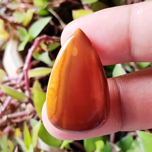 Red Jasper Cabochon: Pear Gemstone, Zodiac Meditation Stone (30x18x5mm, 19.75cts)