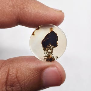 Könnte beinhalten: Ein kreisförmiger, durchscheinender Edelstein-Cabochon mit einem markanten, dunkelbraunen, baumartigen dendritischen Einschluss in der Mitte der glatten, polierten Oberfläche. Der Stein zeigt eine milchig-weißliche Grundfarbe mit natürlichen Verzweigungen.