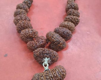 Indrakshi Mala Combination Of 1 To 21 Mukhi RUDRAKSHA Religious COLLECTIBLE