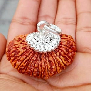 Może przedstawiać: Wisiorek z teksturowanym, czerwonobrązowym nasionem ze srebrną nasadką i pętlą z kwiatowym wzorem. Wisiorek jest trzymany w dłoni, prezentując misterne detale powierzchni nasiona.