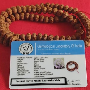 Può includere: Una collana Mala Rudraksha marrone con perline rotonde, esposta su una superficie rossa. È presente anche un certificato del Gemological Laboratory of India, che descrive il peso, la forma e il colore della collana. Il certificato indica che la collana è realizzata con Rudraksha mukhi naturali.
