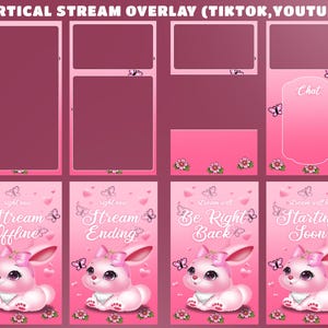 May include: Pink vertical stream overlay graphics for TikTok and YouTube. Designs include frames, chat boxes, and animated bunny characters with text like "Stream Offline" and "Starting Soon". Butterflies and flowers decorate the graphics.