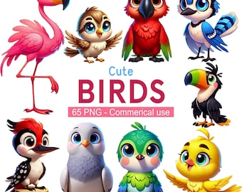 Bird Clipart Bundle – animated 3D style PNG Graphics, Commercial Use (Digital Download)