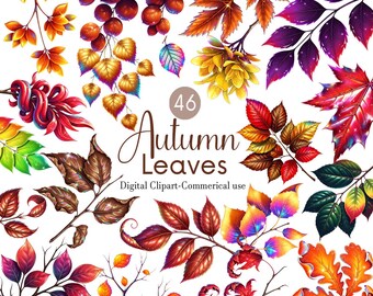 Herfstbladeren clipartbundel: rustiek herfstgebladerte, png (digitale download)