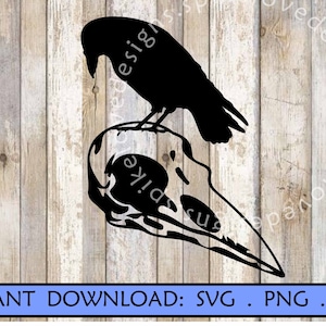 Raven perched on skull SVG PNG PDF Crow bird skull  halloween design