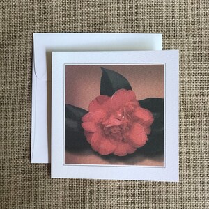 Camelia Notecards