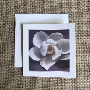 Magnolia Notecards