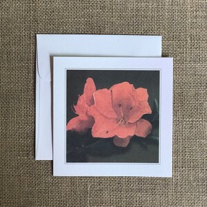 Azalea Notecards