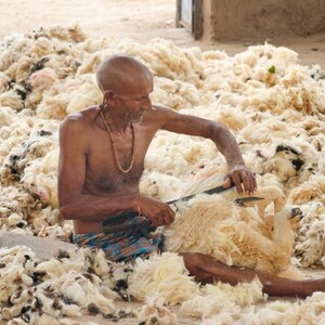 May include: A man shearing wool with a large blade, surrounded by a large pile of raw wool. The man is wearing a beaded necklace and plaid shorts. The wool is a mix of cream and tan colors.