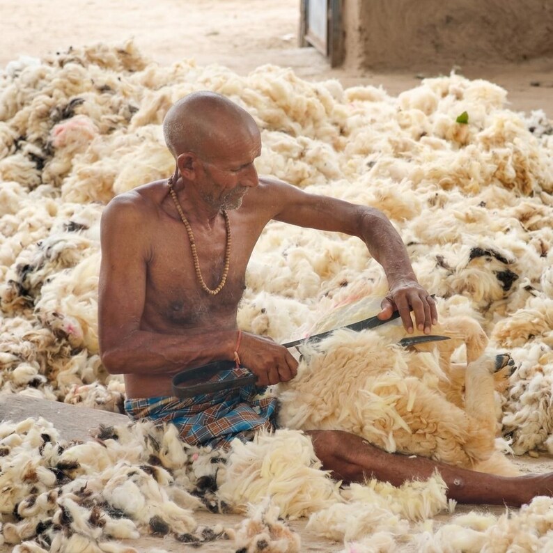 May include: A man shearing wool with a large blade, surrounded by a large pile of raw wool. The man is wearing a beaded necklace and plaid shorts. The wool is a mix of cream and tan colors.