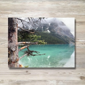 Pine tree on a shoreline winter mountain scene nature photography canvas print wall décor, 20x24 inch, ready-to-hang artwork