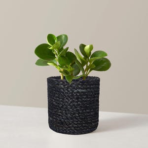 Planter Personalized Plant Pot Jute Flower Pot, Storage Basket, Gardening Gift for Plant Lover, Unique Birthday Present Garden Decor Plant