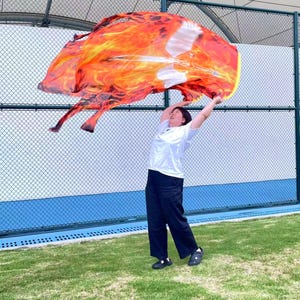 Holy Spirit&#39;s Fire Sword - Prophetic Revelation Painting,Worship Flags,Dance Flags,Praise Flags,Prophetically,Prayerfully Created,2 flags