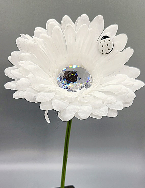 Vw beetle bling accessories best sale