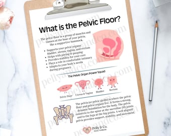 Pelvic Floor Education: Pelvic Wellness & Exercise Guide (Digital Download, PDF/PNG)