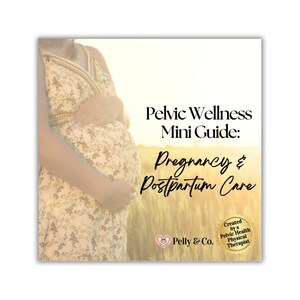May include: A woman in a floral dress gently cradles her pregnant belly. The image features text that reads "Pelvic Wellness Mini Guide: Pregnancy & Postpartum Care" and the Pelly & Co. logo, created by a Pelvic Health Physical Therapist.