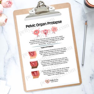 May include: A clipboard with a printed document titled "Pelvic Organ Prolapse." The document includes illustrations and descriptions of different types of prolapse. The Pelly & Co. logo is at the bottom. A pencil rests on the right side.