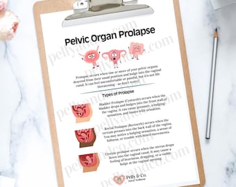 Pelvic Prolapse Education: Pelvic Floor Exercise & Wellness (Digital Download, PDF/PNG)
