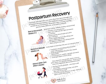 Postpartum Recovery & Pelvic Floor Education and Wellness Guide (Digital Download, PDF/PNG Set)