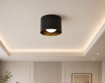 Modern Black Flush Mount Ceiling Light, Minimalist Cylinder Light Fixture, Mid Century Ceiling Lamp, Small Bedroom Hallway Lighting