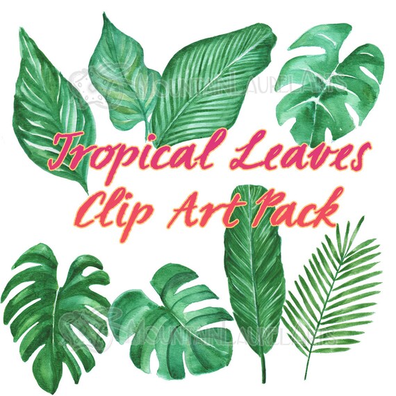Feuilles Tropicales Clipart Feuillage Tropical Aquarelle Etsy Feuilles Tropicales Clipart Feuillage Tropical Aquarelle Etsy