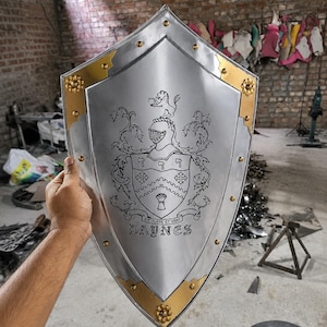 May include: A silver metal shield with gold detailing and rivets. The shield has an engraved coat of arms with the word "DAUNES" at the base. The shield is held up in front of a brick wall.