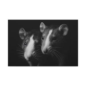 Velveteen Dumbo Blazed Rats - Black & White Canvas Wall Art