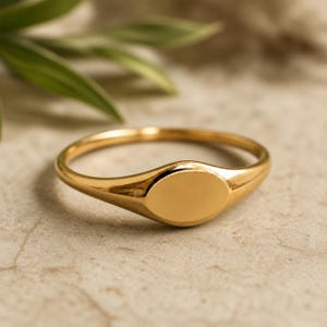 Puede incluir: Un anillo de sello dorado con una cara ovalada. El anillo se coloca sobre un fondo neutro con una hoja verde borrosa en la esquina superior izquierda. El anillo tiene un diseño simple y elegante.