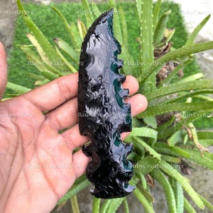 May include: A hand-held, black obsidian arrowhead with a jagged edge. The arrowhead is highly polished and reflects light, showcasing its dark, glossy surface. The background features green plants.