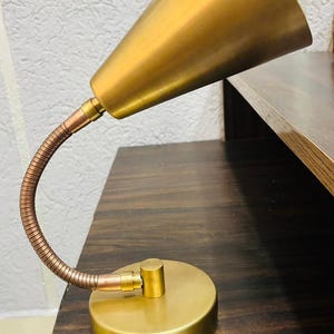 May include: A desk lamp featuring a conical brass shade, a flexible copper-toned gooseneck arm, and a circular brass base. The lamp has a metallic finish and a simple, functional design with a single joint connecting the arm to the base.