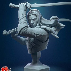Bust of Drizzt Do&#39;Urden / Action Figure / Videogames / Resin / Forgotten Realms / 3D Model