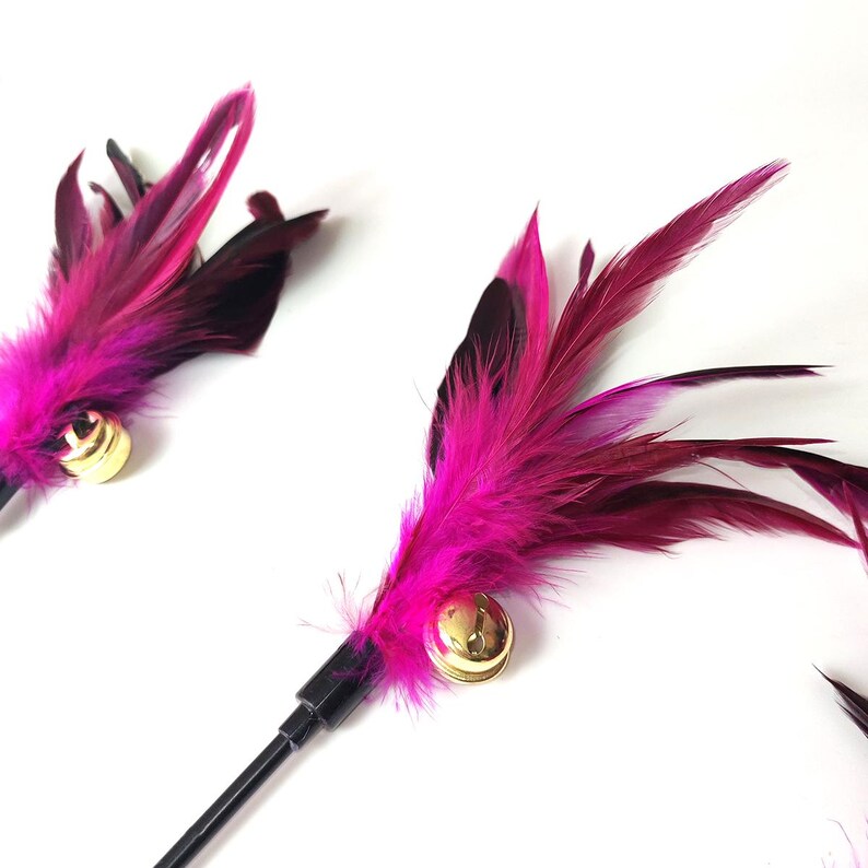 May include: Close-up of cat toys with vibrant pink and burgundy feathers, accented by small gold bells. The toys have black handles and are set against a white background. These playful accessories are designed for feline entertainment.