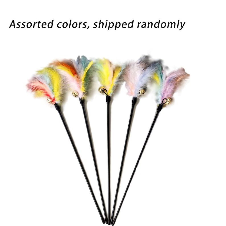 Vibrant Feather with Big Bell Kitten & Cat Teaser Wand – Long Lightweight Handle for Indoor Cat Interactive Play image 4