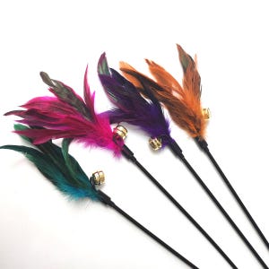 May include: Four cat toys with colorful feathers in shades of green, pink, purple, and orange. Each toy has a black handle and a small gold-colored bell attached near the feathers. The toys are arranged diagonally against a white background.