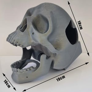 Puede incluir: Una calavera de primate gris, impresa en 3D, con la boca abierta. La calavera mide 19 cm de largo, 10 cm de ancho y 18 cm de alto. La mandíbula está separada y los dientes son visibles. La calavera es un objeto decorativo.