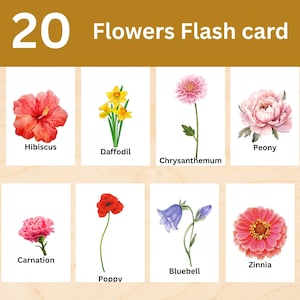 20 cartes de fleurs, cartes mémoire de fleurs, cartes mémoire imprimables de vraies images, cartes mémoire imprimables de fleurs, vraies photos pour enfants, téléchargement immédiat