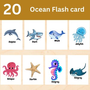20 cartes Animaux de l'océan, Cartes d'animaux de l'océan pour les tout-petits, Cartes-fiche imprimables Animaux de l'océan, Cartes-éclair imprimables pour enfants