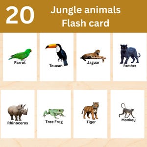 20 cartes Animaux de la jungle, Cartes Animaux de la jungle pour tout-petits, Cartes flash Montessori, Vraies images imprimables, Cartes flash imprimables pour enfants