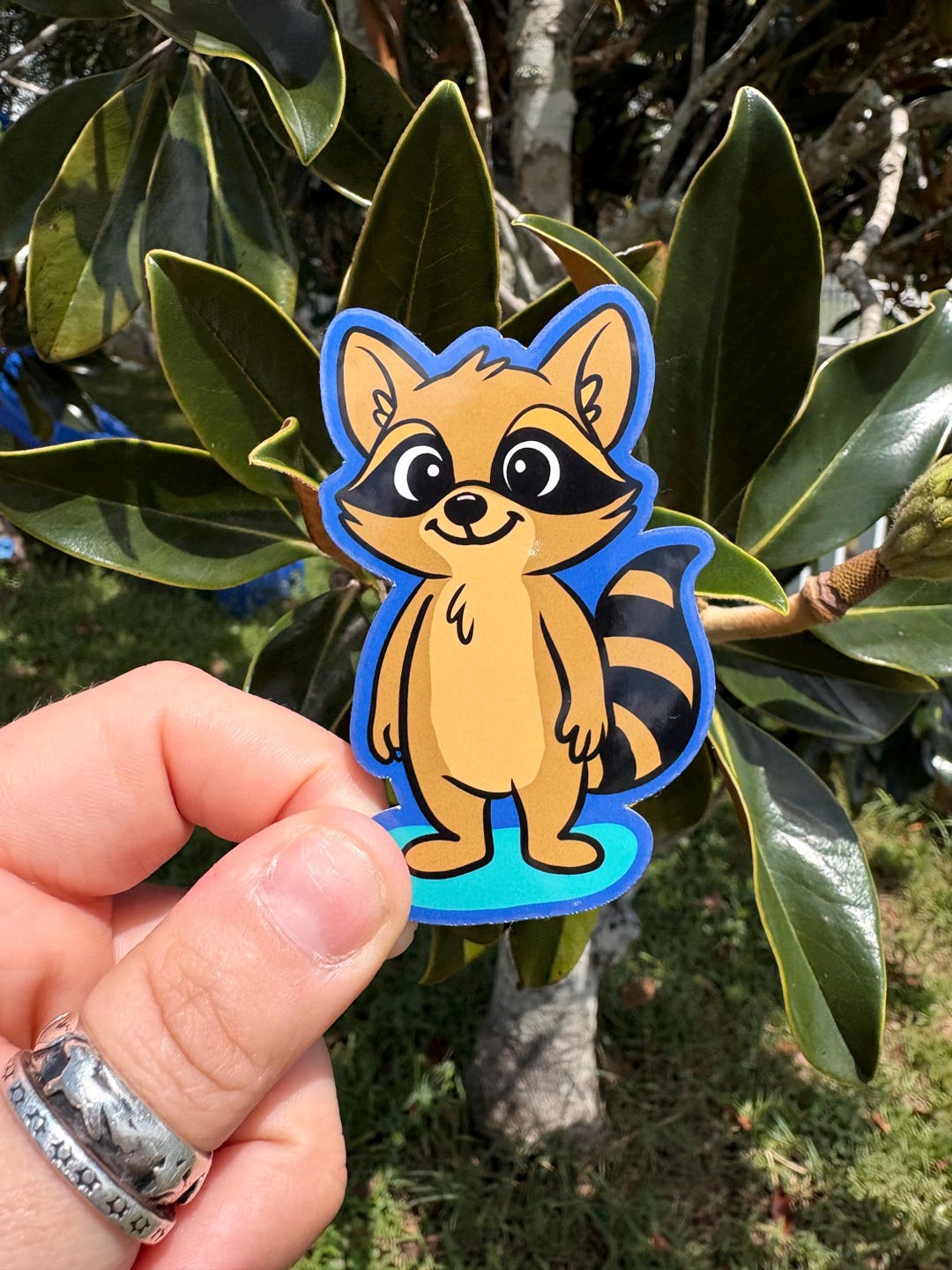 Richard the Racoon Full Sized Sticker - Etsy