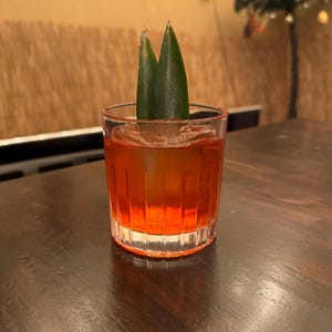 May include: A cocktail in a clear glass with an orange-red liquid, ice, and two green leaves. The glass sits on a dark wooden table. The background includes a bamboo-style wall and a small decorative palm tree.