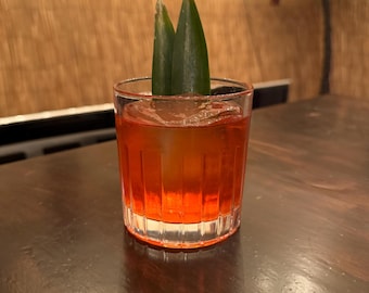 Craft Cocktail Recipe Book: 25 Unique Drinks + 4 Bonus Syrups (PDF Download)
